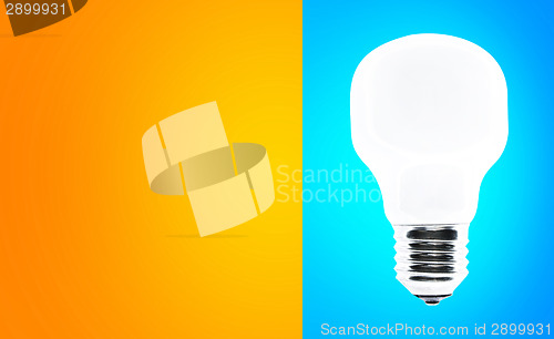 Image of White bulb