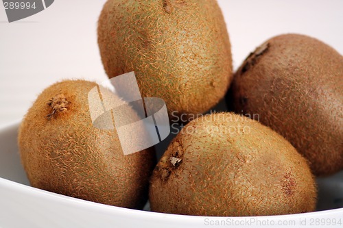 Image of Kiwis