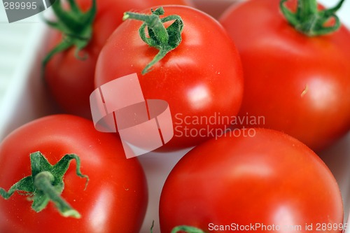 Image of Tomaten