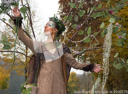 Image of autumn fairy