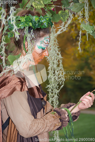 Image of autumn fairy