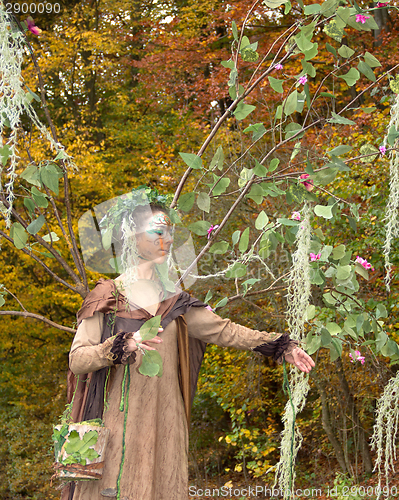 Image of autumn fairy