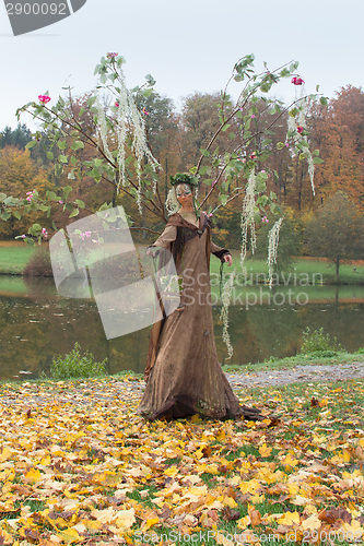 Image of autumn fairy