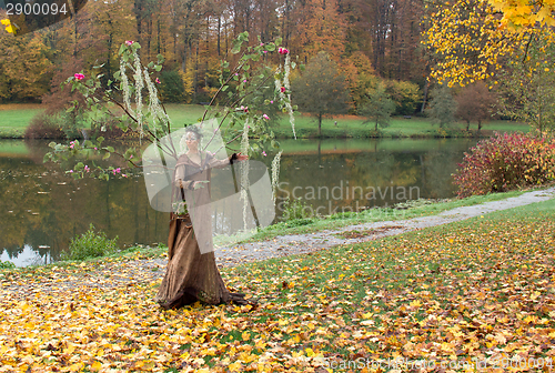 Image of autumn fairy