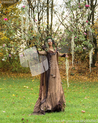 Image of autumn fairy