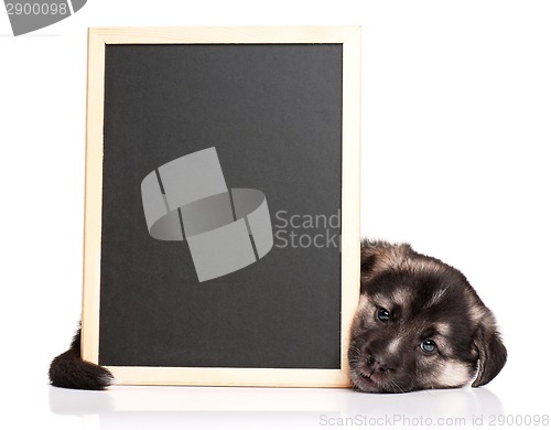 Image of Puppy with blackboard