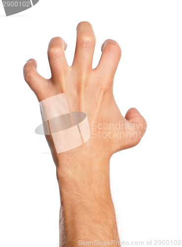 Image of Man hand