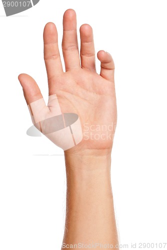 Image of Man hand