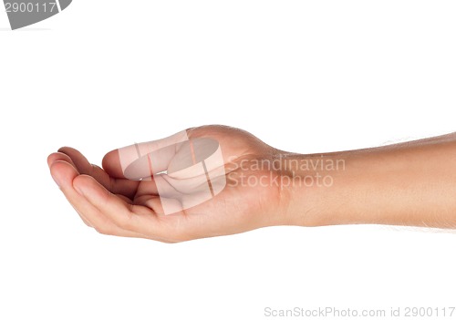 Image of Man hand