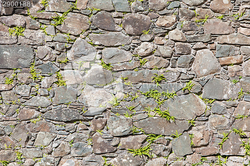 Image of Antique natural stonewall