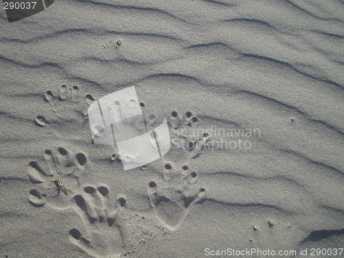 Image of Handmarks in sand Crete