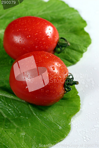 Image of fresh tomato