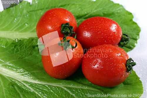 Image of fresh tomato