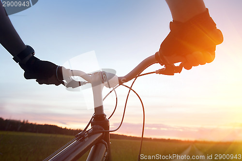 Image of Mountain biking