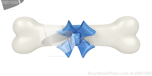 Image of Bone