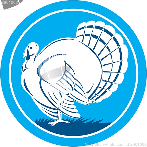 Image of Wild Turkey Side View Circle Retro