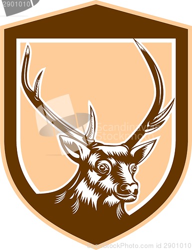 Image of Deer Stag Buck Head Woodcut Shield