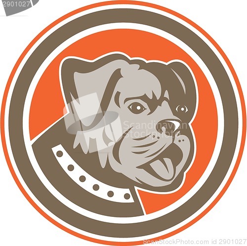 Image of Bulldog Dog Mongrel Head Mascot Circle