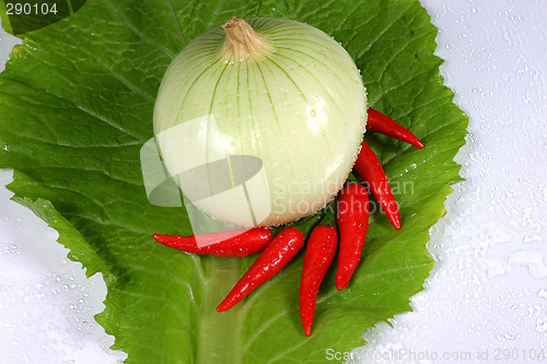 Image of fresh vegetable