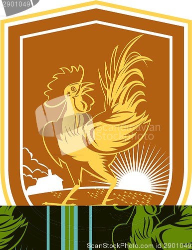 Image of Chicken Rooster House Sunburst Shield Retro