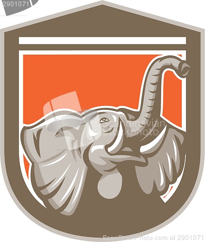 Image of Elephant Head Looking Up Shield Retro