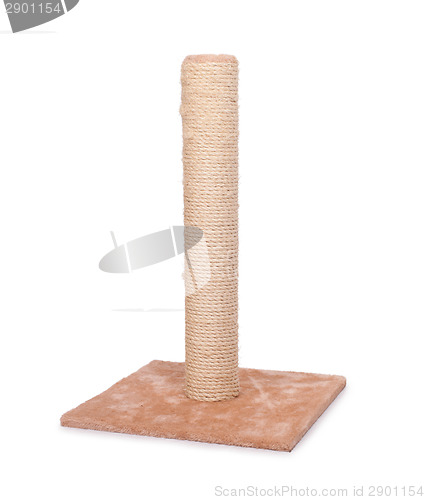 Image of Cat scratching post