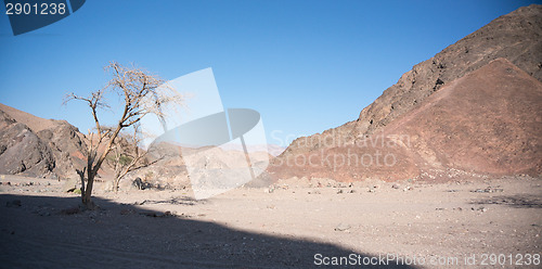 Image of Stone desert in Israel