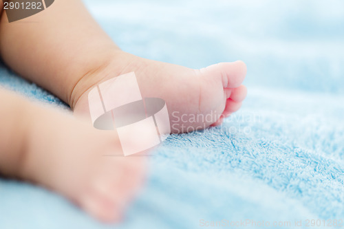 Image of Baby foot