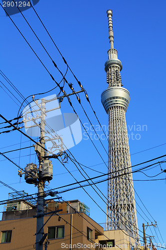 Image of Tokyo sky tree