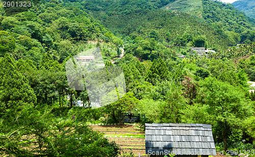 Image of House on moutain