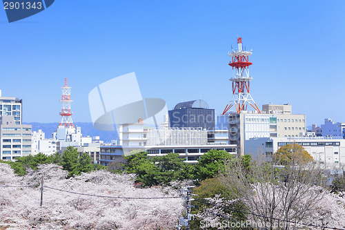 Image of Wakayama cityscape