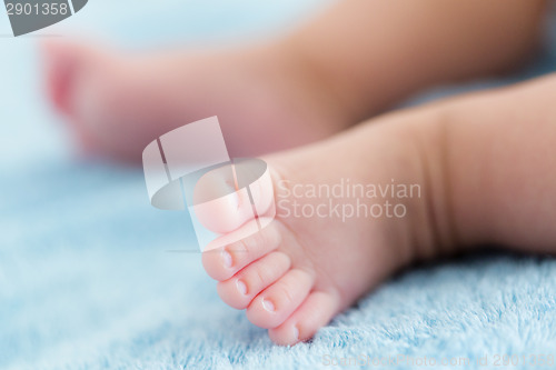 Image of Tiny baby feet