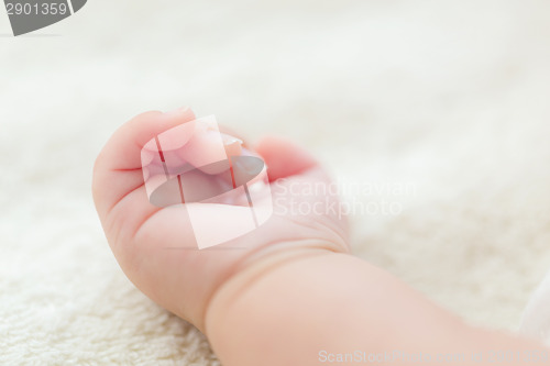 Image of New born baby hand