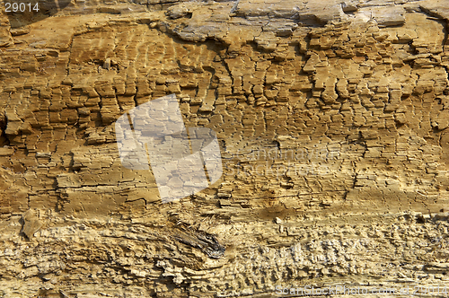 Image of Driftwood detail sand point beach England uk