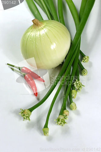 Image of fresh vegetable