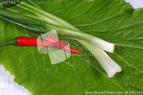 Image of fresh vegetable