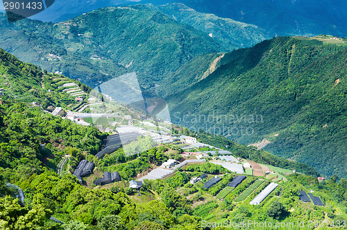 Image of Farm in Taiwan