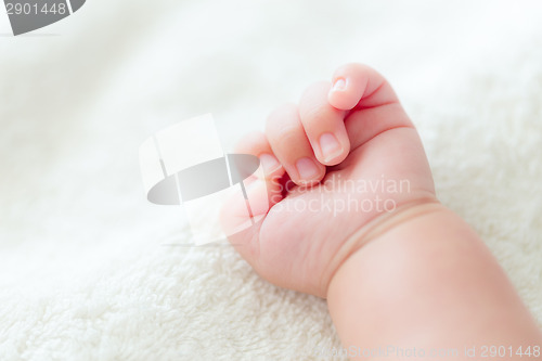 Image of Baby fist