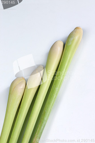 Image of fresh lemongrass