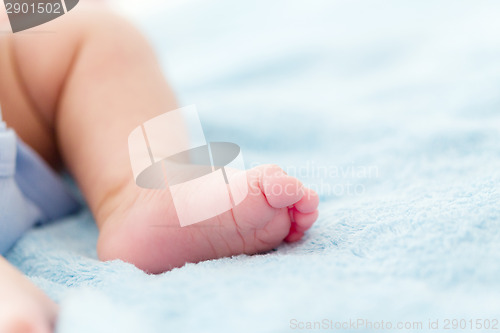 Image of Tiny baby feet 