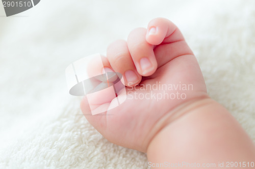 Image of New born baby hand