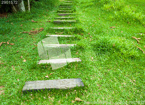 Image of Wooden step