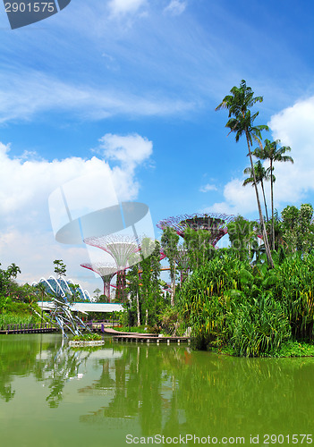 Image of Green garden in Singapore