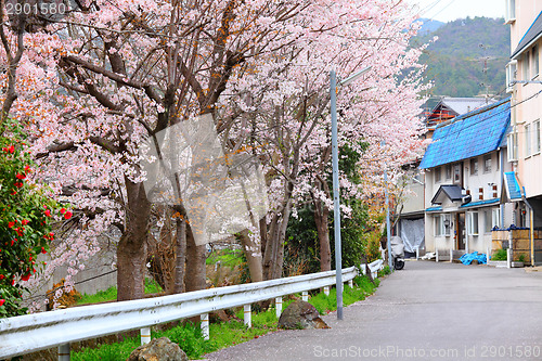 Image of Kyoto city