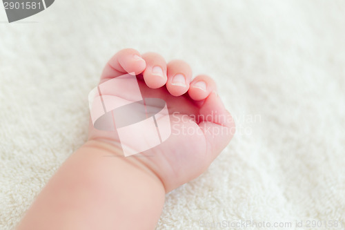 Image of Newborn baby hand