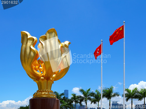 Image of Golden bauhinia square
