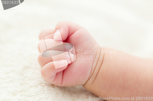 Image of Newborn baby hand