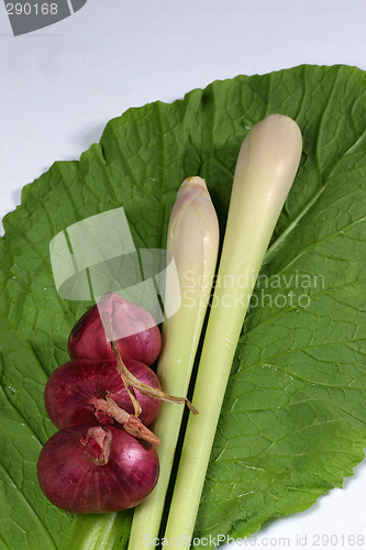 Image of fresh vegetable