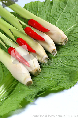 Image of fresh vegetable