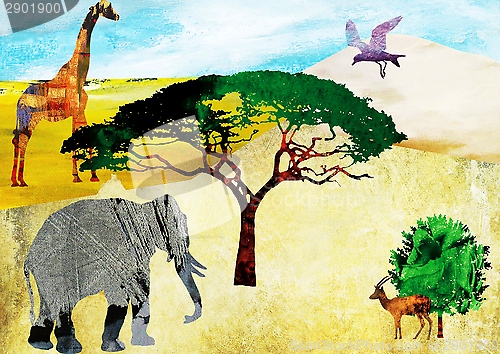Image of Safari